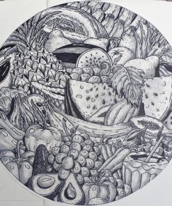 Fernando Bellver - "Bodegón tropical" dibujo original lápiz sobre papel de acetato
