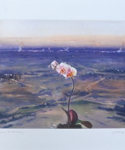 Eduardo Naranjo - "Orquídea al atardecer" grabado aguafuerte y aguatinta