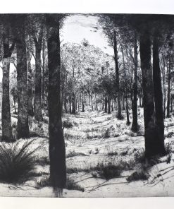 Enrique Ortiz - "Paisaje de invierno II" grabado aguafuerte