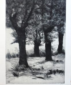 Enrique Ortiz - "Paisaje en invierno IV" grabado aguafuerte