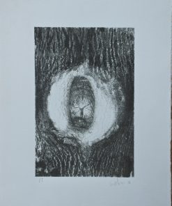 Daniel Verbis - "M-hundo # 5" fotograbado