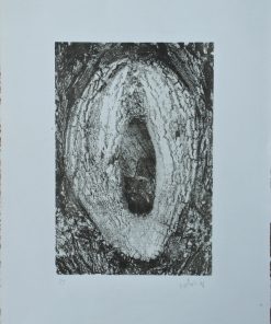 Daniel Verbis - "M-hundo # 6" fotograbado
