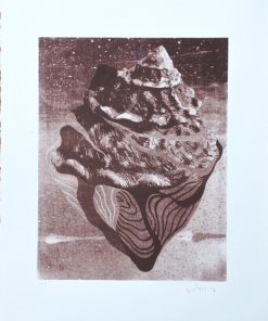 Daniel Verbis, - "S.T."fotograbado