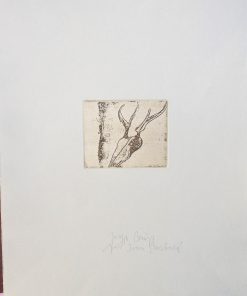 Joseph Beuys - "Hirschschädel (Cráneo de ciervo)" suite Tränen, 1985, grabado aguatinta