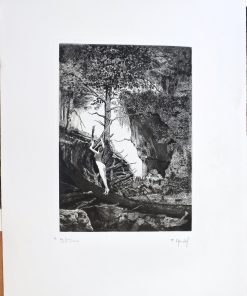 François Marèchal - "Joven desnuda en el bosque" grabado aguafuerte