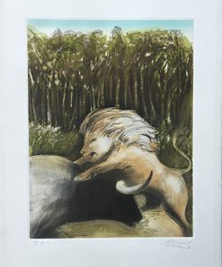 Daniel Merino - "El león y el toro" grabado aguafuerte