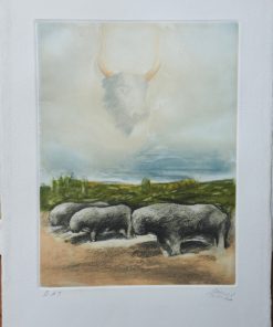 Daniel Merino - "Los toros de Guisando" grabado aguafuerte