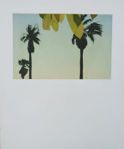 Marta Cárdenas - "Paisaje con palmeras" grabado aguafuerte