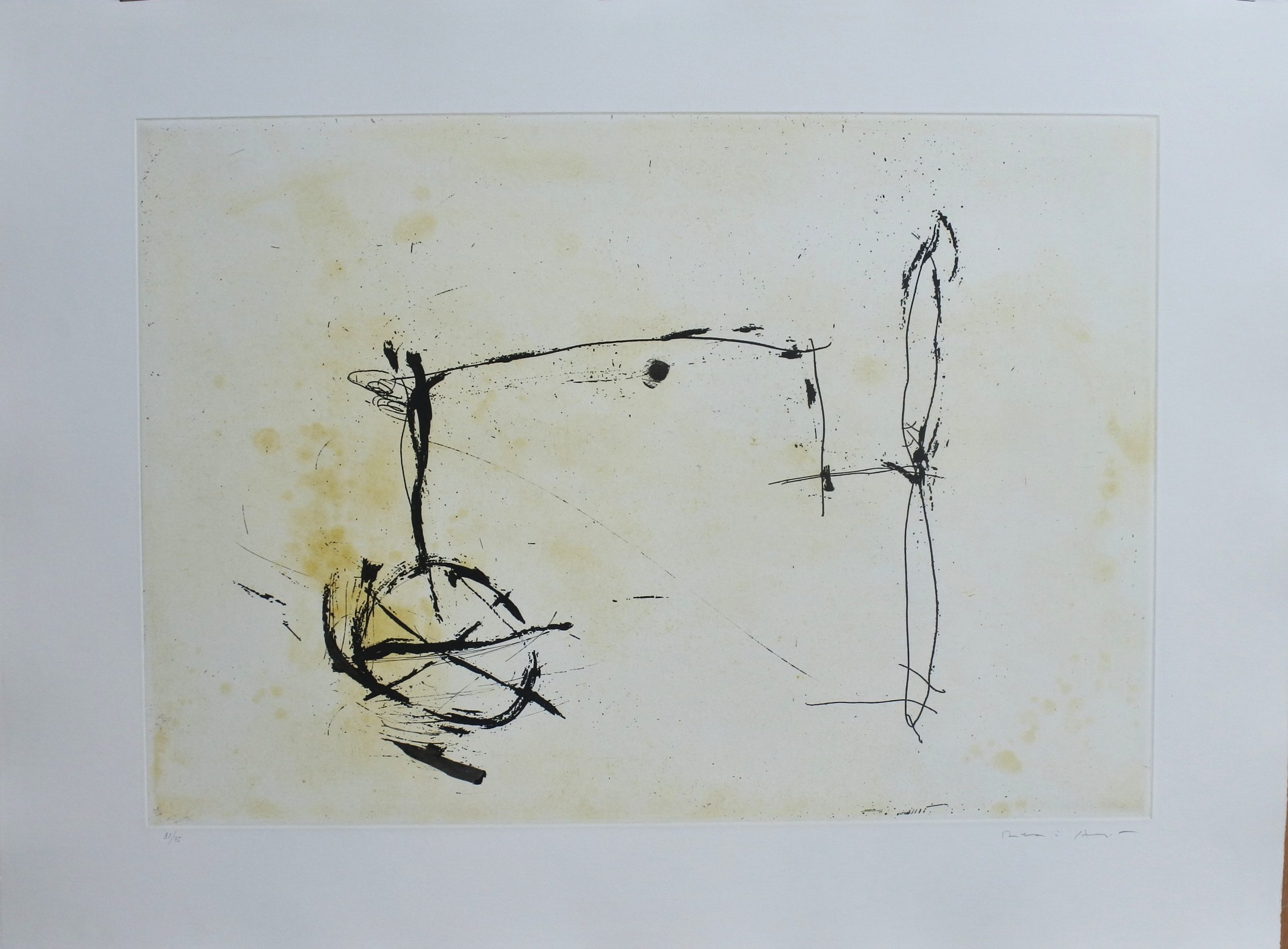 Josep María Riera y Aragó -