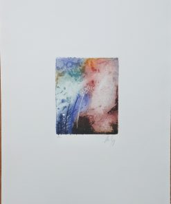 Arun Roy - "Anémonas IV" grabado aguafuerte