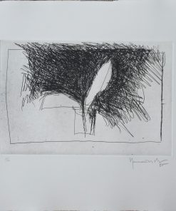 Joan Hernandez Pijuan - "Planta - "grabado aguafuerte