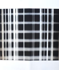 Imanol Marrodan, Rebelión, 2006, grabado aguafuerte XL